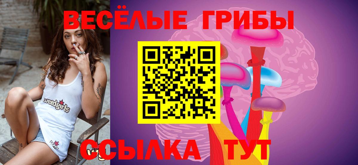 Псилоцибиновые грибы мицелий  Вход с VPN  Пушкино 